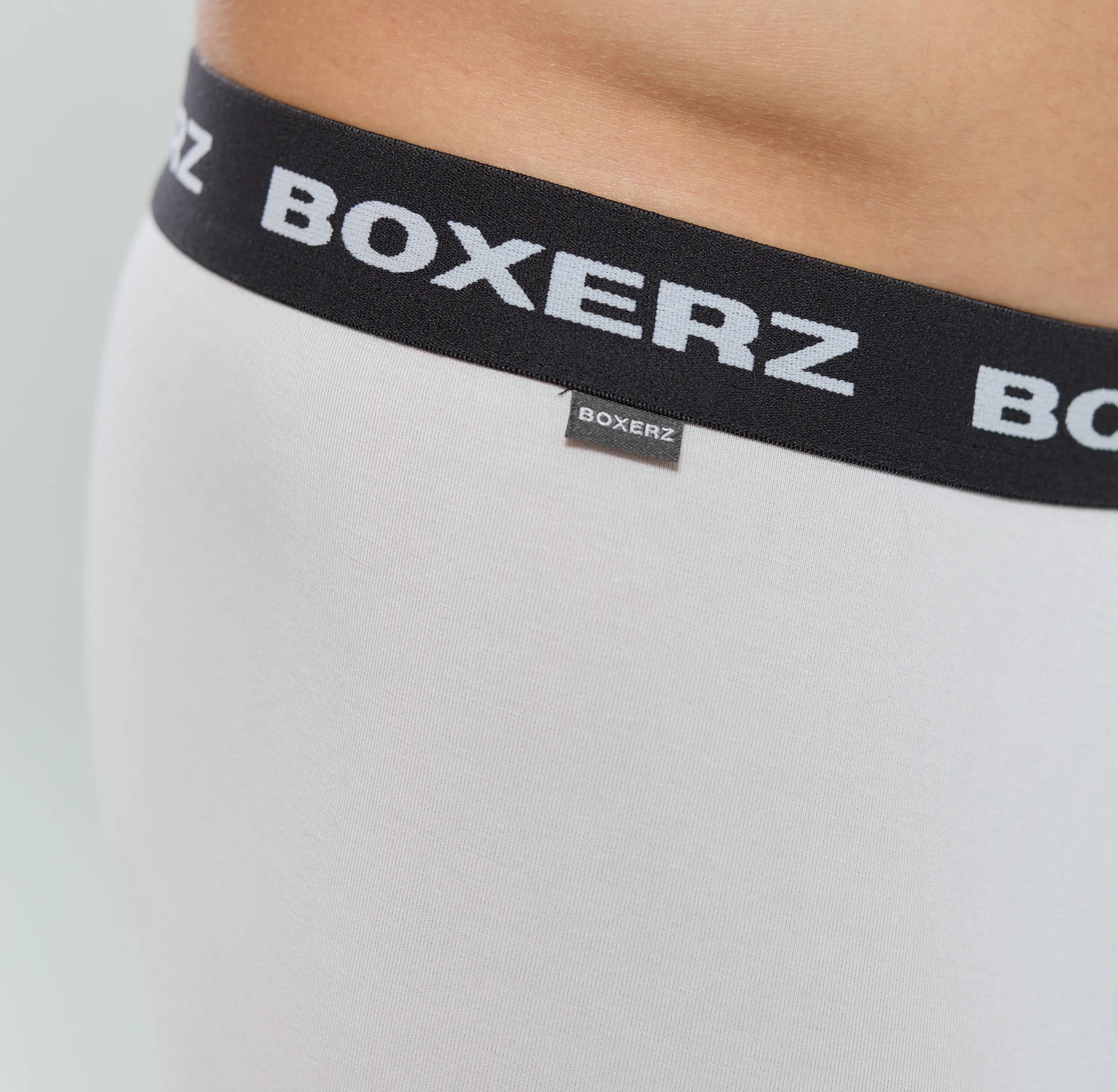 Close-up of Boxerz waistband on white boxer briefs, showing logo and stitching details

